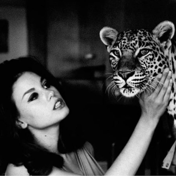 💎 Sapphires Emeralds & Rubys… OoOoh my my!!! 🐆 ❤️‍🔥